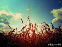无锡瑶业不锈钢有限公司