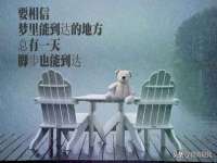 无锡瑶业不锈钢有限公司
