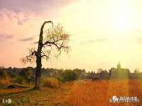 无锡瑶业不锈钢有限公司