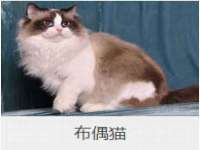 无锡瑶业不锈钢有限公司
