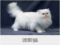 无锡瑶业不锈钢有限公司