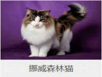 无锡瑶业不锈钢有限公司