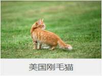 无锡瑶业不锈钢有限公司