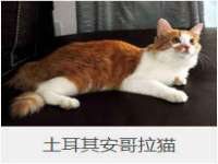 无锡瑶业不锈钢有限公司