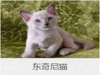 无锡瑶业不锈钢有限公司