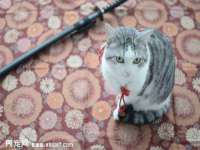 无锡瑶业不锈钢有限公司