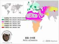 无锡瑶业不锈钢有限公司