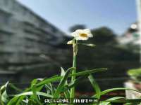 无锡瑶业不锈钢有限公司