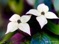 无锡瑶业不锈钢有限公司