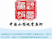 无锡瑶业不锈钢有限公司