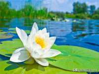 无锡瑶业不锈钢有限公司