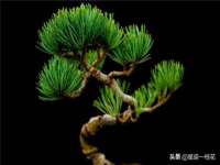 无锡瑶业不锈钢有限公司