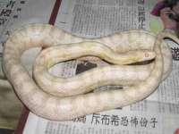 无锡瑶业不锈钢有限公司